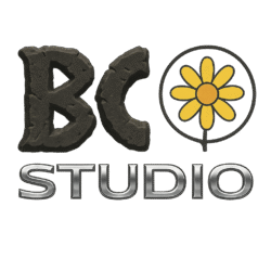 Best Case Studio